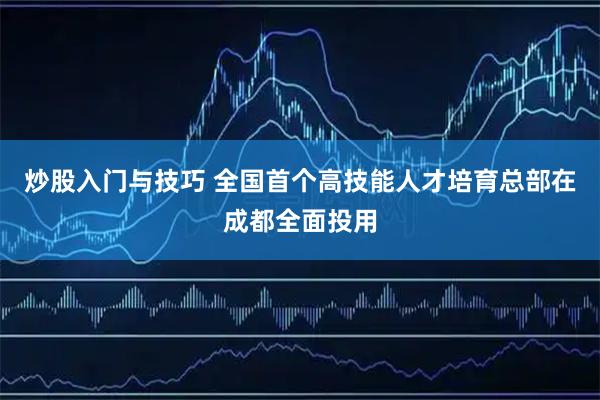 炒股入门与技巧 全国首个高技能人才培育总部在成都全面投用